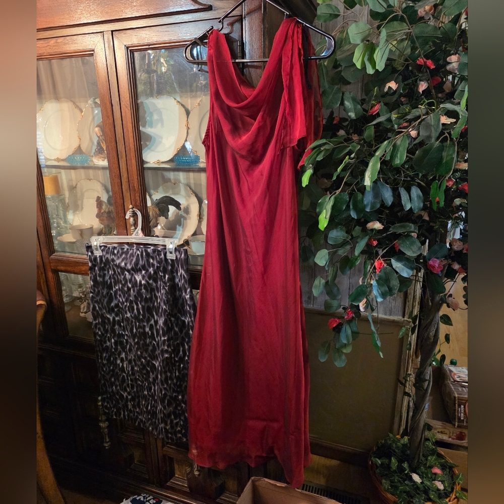 Elgant Dress (10)